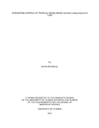 University of Florida Thesis Or Dissertation Formatting