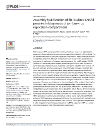 Assembly-Hub Function of ER-Localized SNARE Proteins in Biogenesis of Tombusvirus Replication Compartment