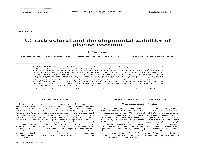 Full Text in Pdf Format