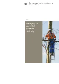 Managing the Assets That Distribute Electricity