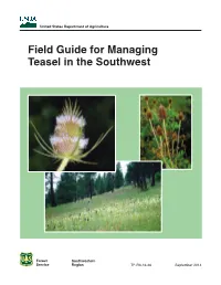 Field Guide for Managing Teasel in the Southwest