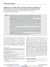 Identification of NTN4, TRA1, and STC2 As Prognostic Markers in Breast Cancer in a Screen for Signal Sequence Encoding Proteins