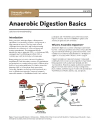 Anaerobic Digestion Basics