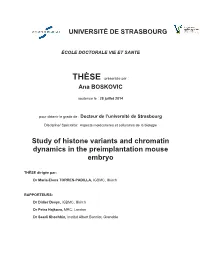 Study of Histone Variants and Chromatin Dynamics in the Preimplantation Mouse Embryo