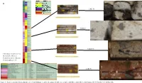 Hydrogeologic Applications for Historical Records and Images from Rock Samples Collected at the Nevada National Security Site An