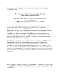 Two-Dimensional Electrochromatography/Capillary Electrophoresis on a Microchip