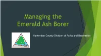 Managing the Emerald Ash Borer