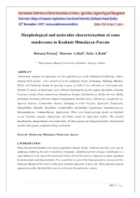 Morphological and Molecular Characterization of Some Mushrooms in Kashmir Himalayan Forests