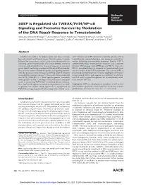 SGEF Is Regulated Via TWEAK/Fn14/NF-Kb Signaling and Promotes Survival by Modulation of the DNA Repair Response to Temozolomide Shannon P