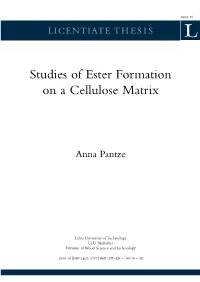 Studies of Ester Formation on a Cellulose Matrix