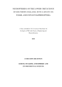 Neuropterida of the Lower Cretaceous of Southern England, with a Study on Fossil and Extant Raphidioptera