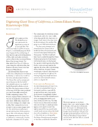 Newsletter Volume 19 / No