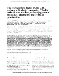 The Transcription Factor EGR2 Is the Molecular Linchpin Connecting STAT6 Activation to the Late, Stable Epigenomic Program of Alternative Macrophage Polarization