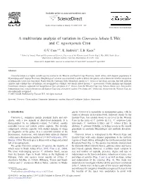 A Multivariate Analysis of Variation in Cineraria Lobata L'hér. and C