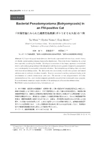 Bacterial Pseudomycetoma (Botryomycosis) in an FIV-Positive Cat