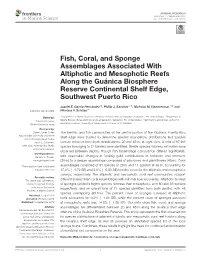 Fish, Coral, and Sponge Assemblages Associated with Altiphotic and Mesophotic Reefs Along the Guánica Biosphere Reserve Continental Shelf Edge, Southwest Puerto Rico