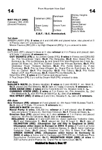 From Mountain View Stud Darshaan Shirley Heights Delsy