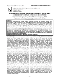 Morphological Evaluation and Protein Profiling of Three Accessions of Nigerian Corchorus Linn