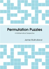 Permutation Puzzles a Mathematical Perspective