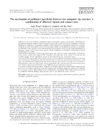 The Mechanism of Pollinator Specificity Between Two Sympatric