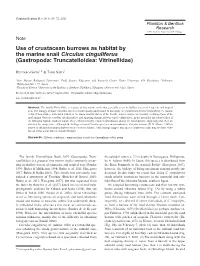 Use of Crustacean Burrows As Habitat by the Marine Snail Circulus Cinguliferus (Gastropoda: Truncatelloidea: Vitrinellidae)