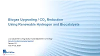 Biogas Upgrading / CO Reduction Using Renewable Hydrogen And