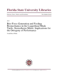 Bite-Force Generation and Feeding Biomechanics in the Loggerhead Musk Turtle, Sternotherus Minor: Implications for the Ontogeny of Performance Joseph Bryce Pfaller