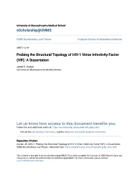 Probing the Structural Topology of HIV-1 Virion Infectivity Factor (VIF): a Dissertation