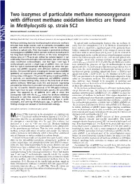 Two Isozymes of Particulate Methane Monooxygenase with Different Methane Oxidation Kinetics Are Found in Methylocystis Sp
