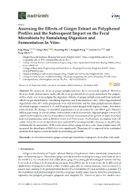 Assessing the Effects of Ginger Extract on Polyphenol Profiles and The