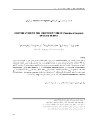 View Full Text Article