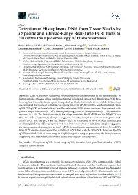 Detection of Histoplasma DNA from Tissue Blocks by a Specific