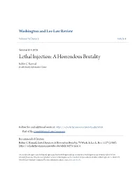 Lethal Injection: a Horrendous Brutality Robin C