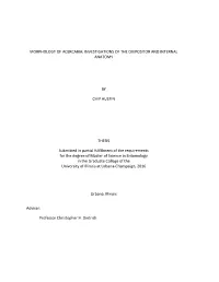 MORPHOLOGY of ACERCARIA: INVESTIGATIONS of the OVIPOSITOR and INTERNAL ANATOMY by CHIP AUSTIN THESIS Submitted in Partial Fulfil