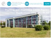 Profiling and Inspecting Linear Algebra Applications Using Flexiblas