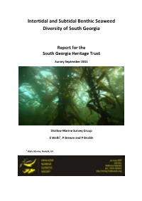 Intertidal and Subtidal Benthic Seaweed Diversity of South Georgia