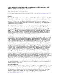 Lesion and Sclerotia Development in Four Pulse Species When Inoculated with Different Isolates of Sclerotinia Sclerotiorum
