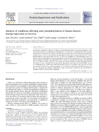 Protein Expression and Purification