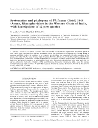 Systematics and Phylogeny of Philautus Gistel, 1848 (Anura, Rhacophoridae) in the Western Ghats of India, with Descriptions of 12 New Species