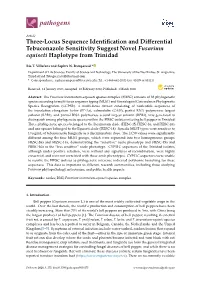 Three-Locus Sequence Identification and Differential Tebuconazole