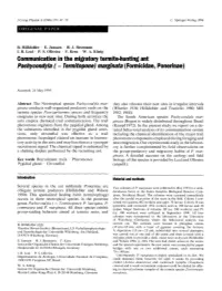 Communication in the Migratory Termite-Hunting Ant &lt;Emphasis