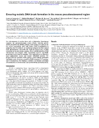 Ensuring Meiotic DNA Break Formation in the Mouse Pseudoautosomal Region