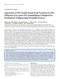 Suppression of DNA Double-Strand Break Formation by DNA Polymerase B in Active DNA Demethylation Is Required for Development of Hippocampal Pyramidal Neurons