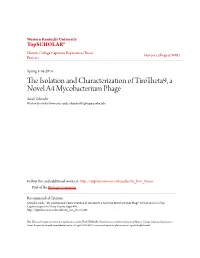The Isolation and Characterization of Tirotheta9, a Novel A4 Mycobacterium Phage