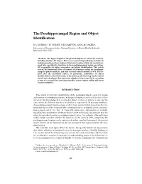 The Parahippocampal Region and Object Identification