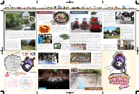 Get in Touch with Nature Taste the Food Feel the History Enjo Y Fe Stiv