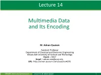 Multimedia Data and Its Encoding