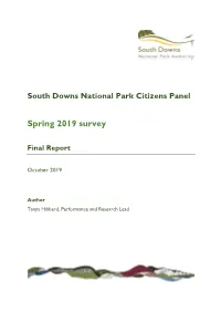 Spring 2019 Survey