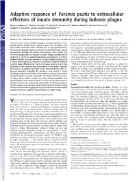 Adaptive Response of Yersinia Pestis to Extracellular Effectors of Innate Immunity During Bubonic Plague