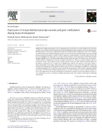 Expression of Mouse Dab2ip Transcript Variants and Gene Methylation During Brain Development